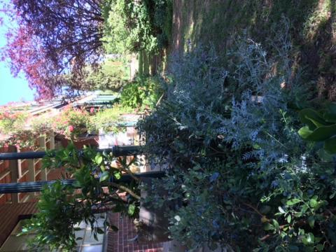 Holmhurst Bed & Breakfast *