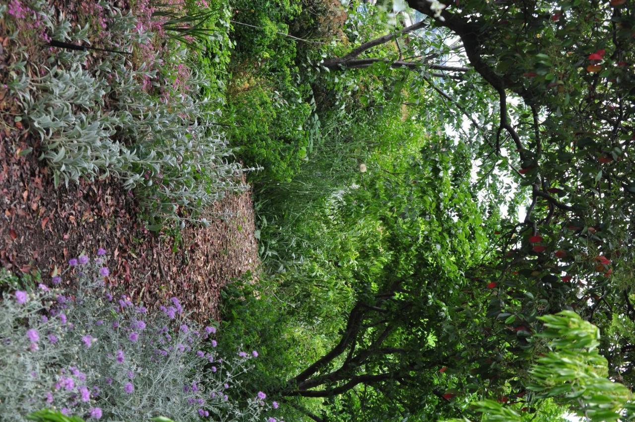 Holmhurst Bathurst