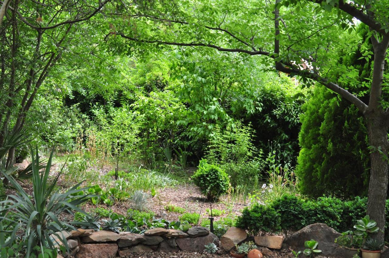 Bed & Breakfast Holmhurst *
